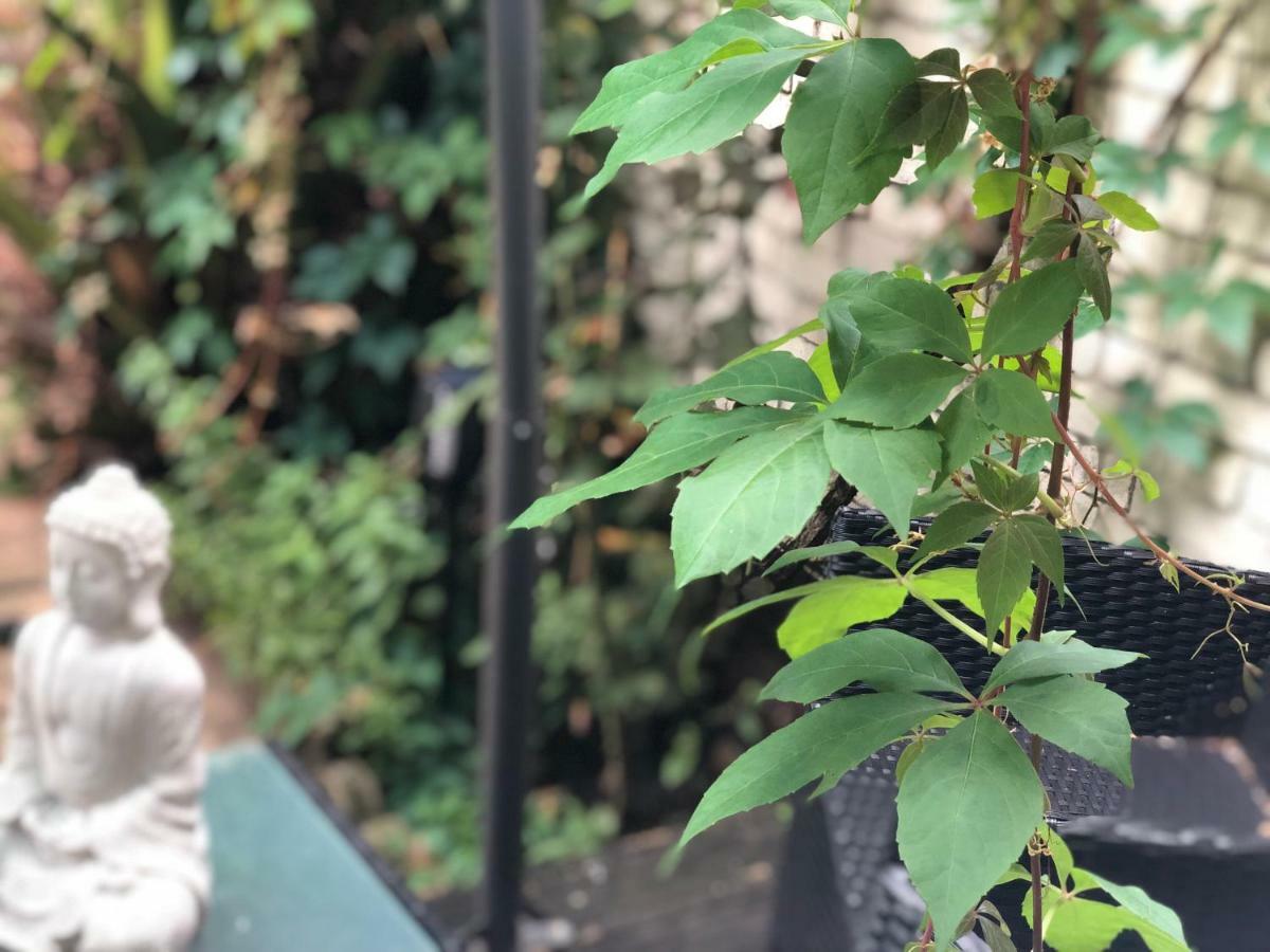 Chelsea Private Garden Maisonette Apartman London Kültér fotó